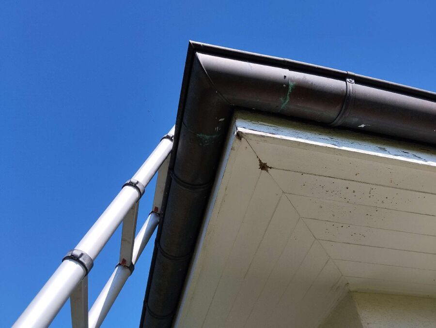 nid d abeille que faire