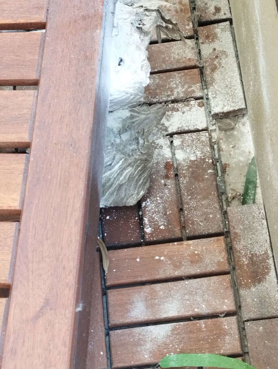 enlever un nid d abeille