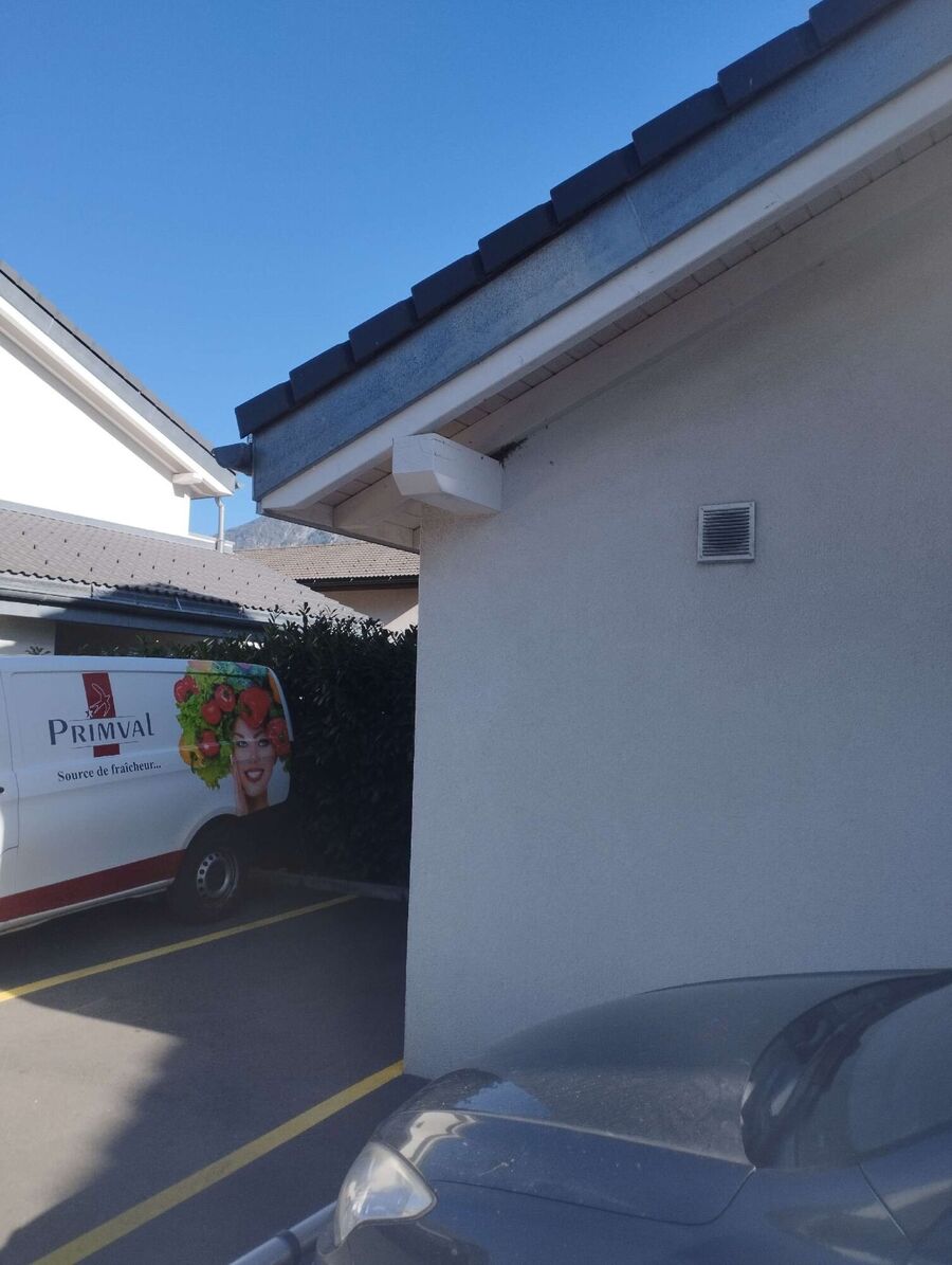 nid d abeille que faire