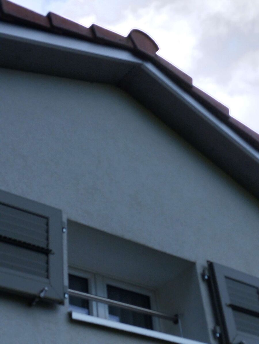 ruche abeille maison que faire