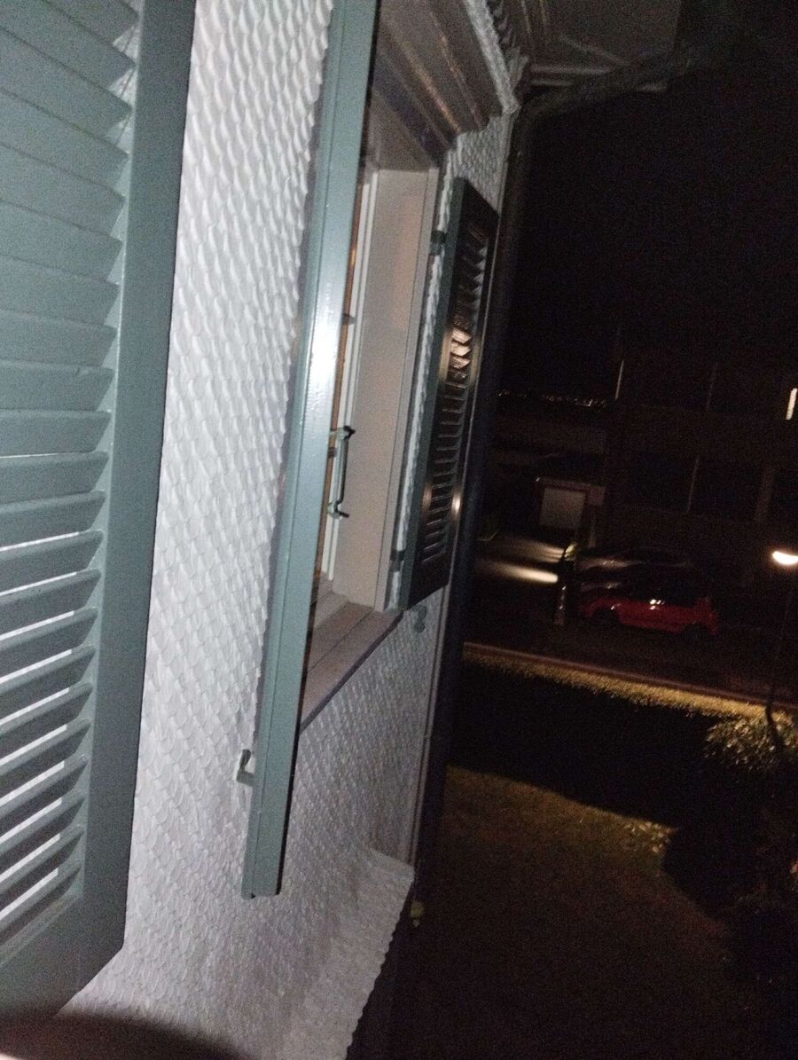 essaim d abeille enlevement