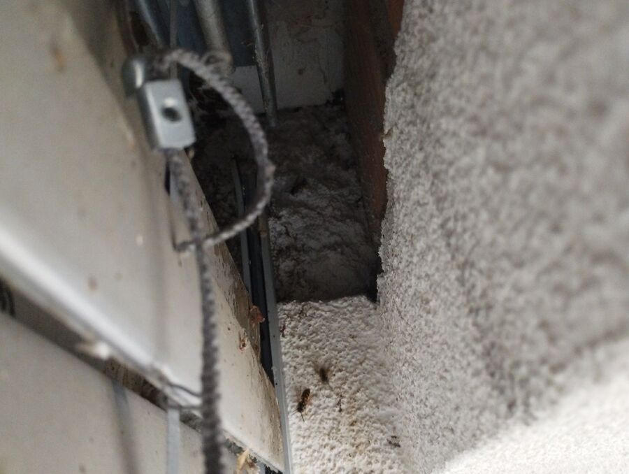 nid d abeille que faire