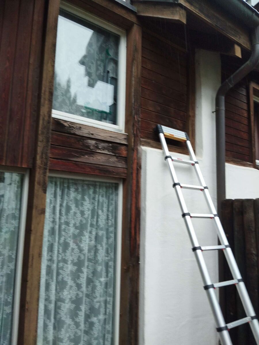 ruche abeille maison que faire