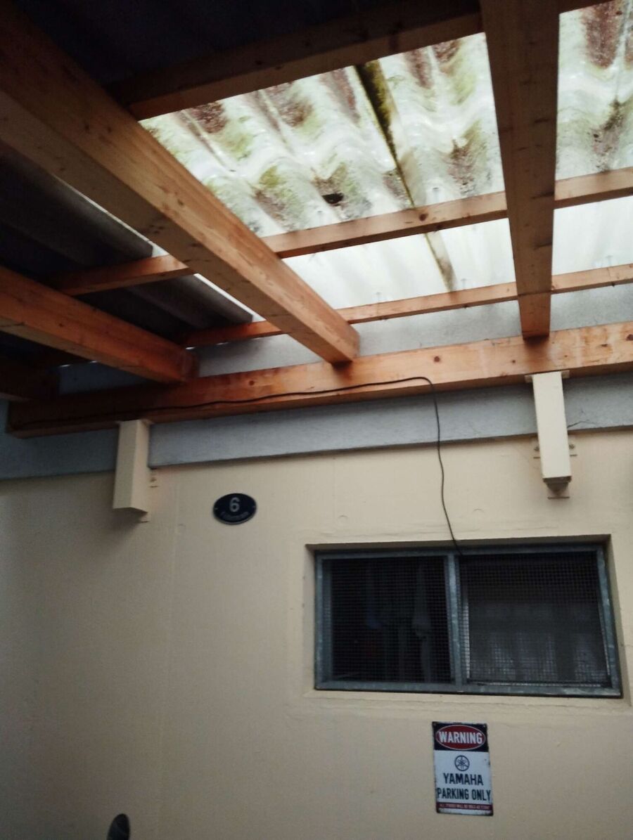 essaim d abeille enlevement