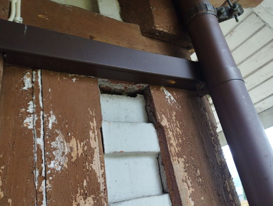 ruche abeille maison que faire