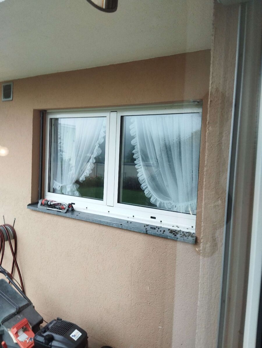 essaim d abeille enlevement