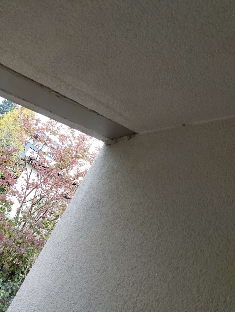 nid d abeille que faire