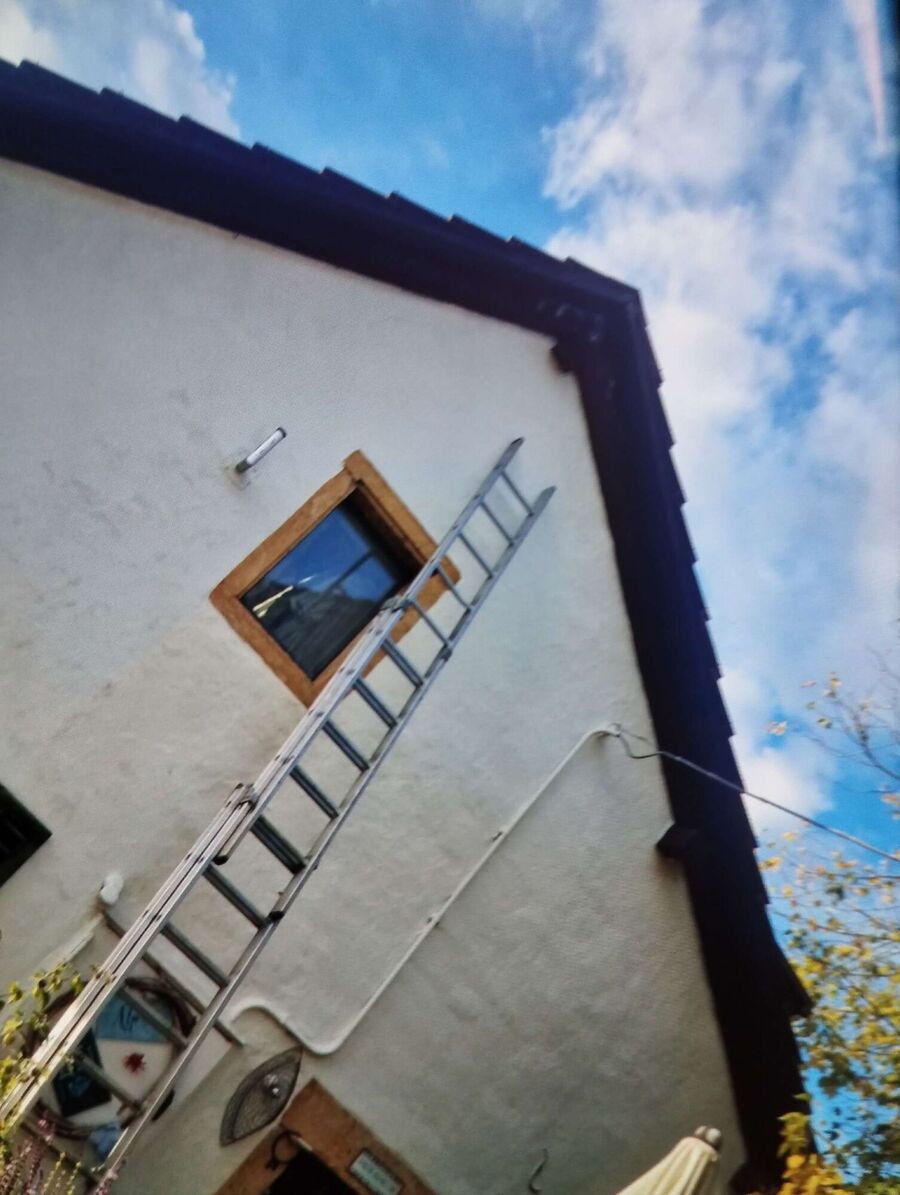 essaim d abeille enlevement