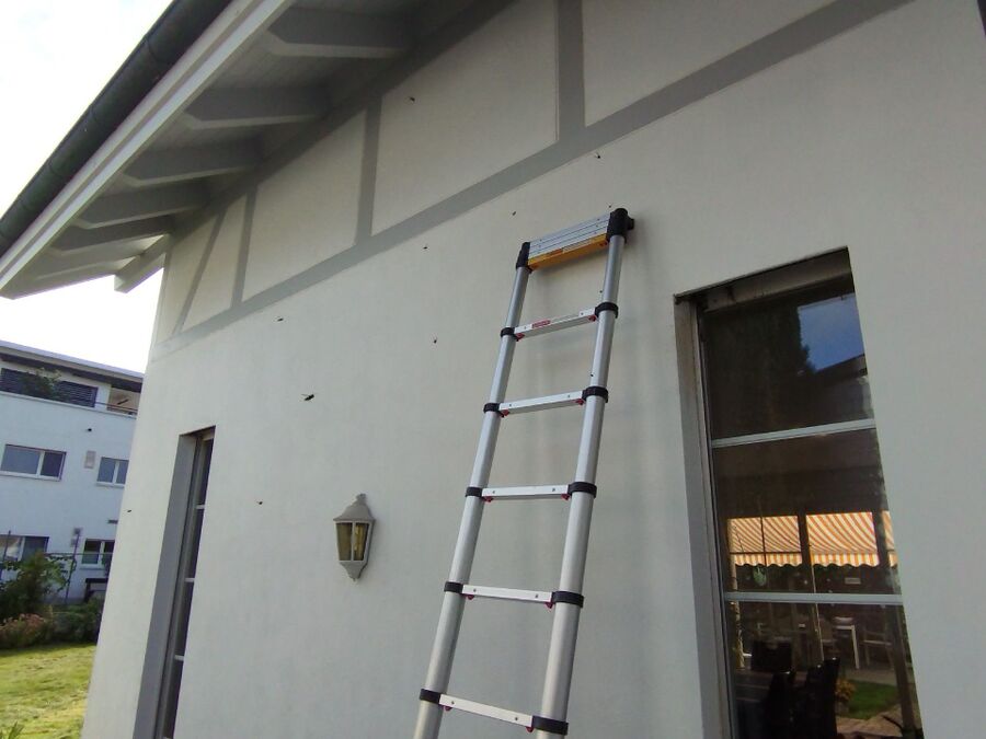 nid d abeille que faire