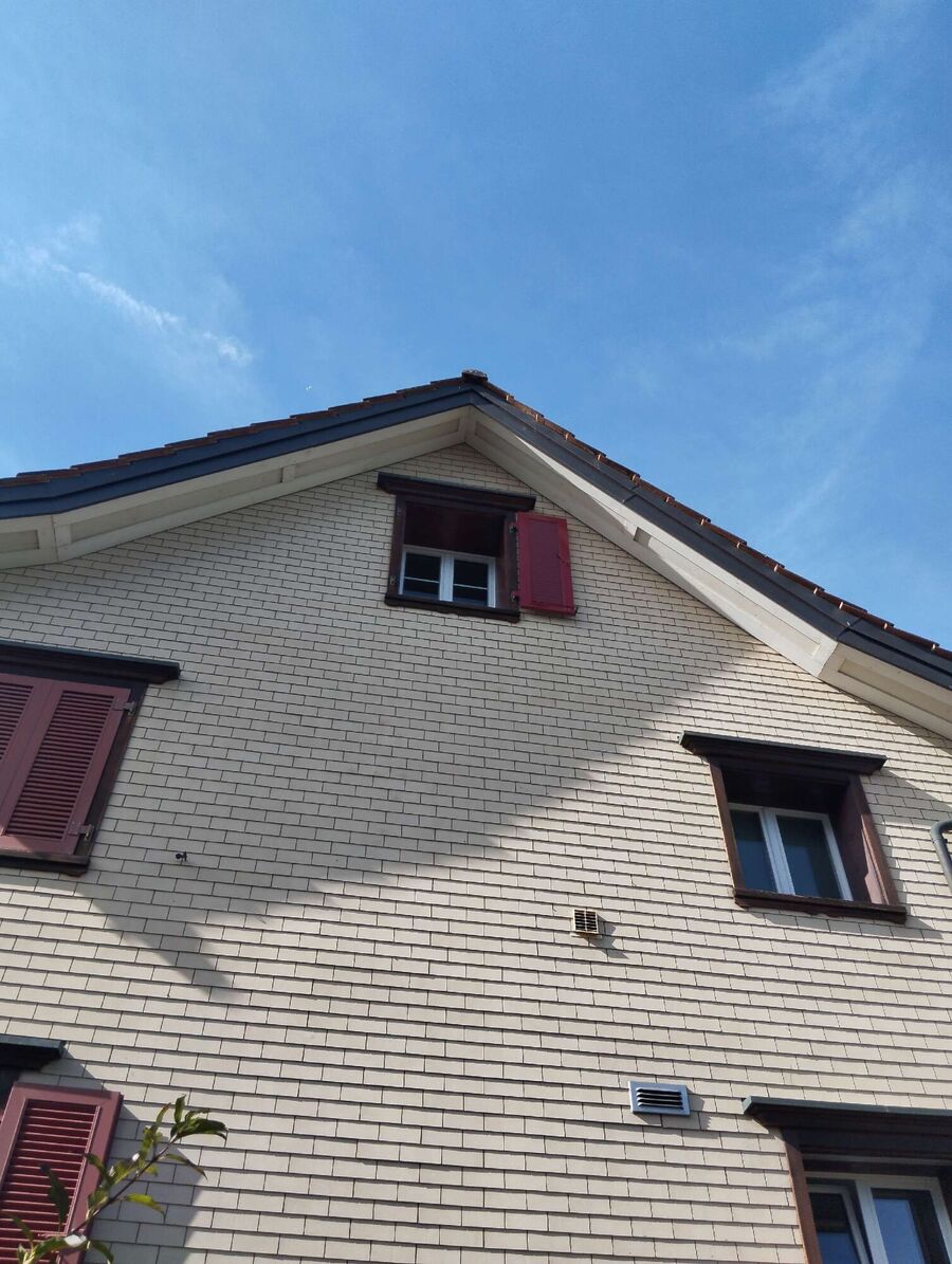 ruche abeille maison que faire