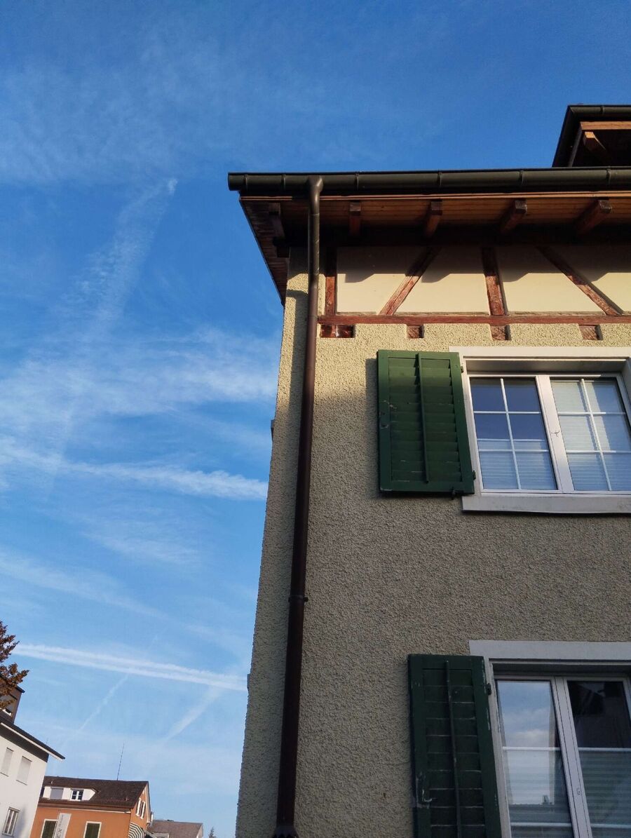 essaim d abeille enlevement