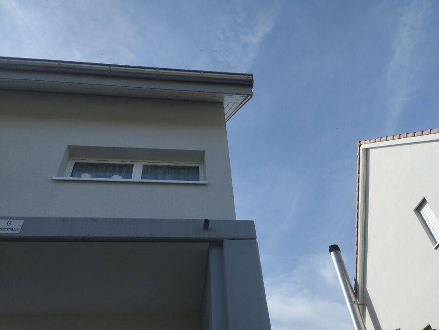 essaim d abeille enlevement