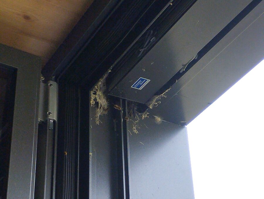 nid d abeille que faire