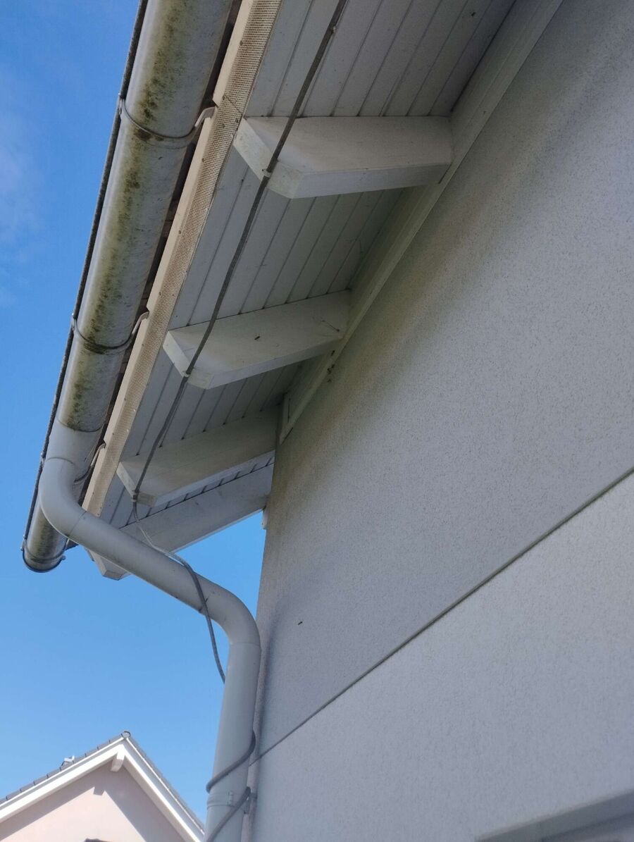 enlever un nid d abeille