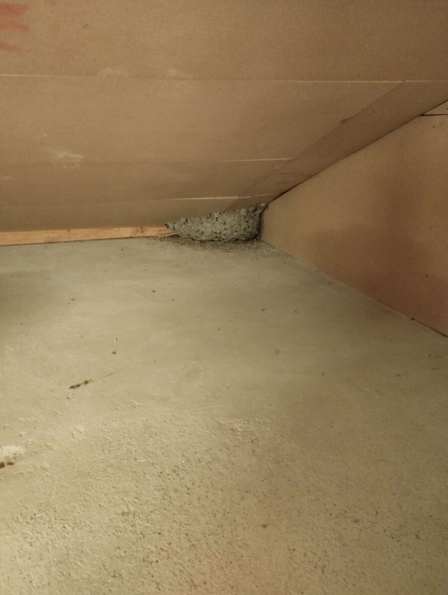 ruche abeille maison que faire