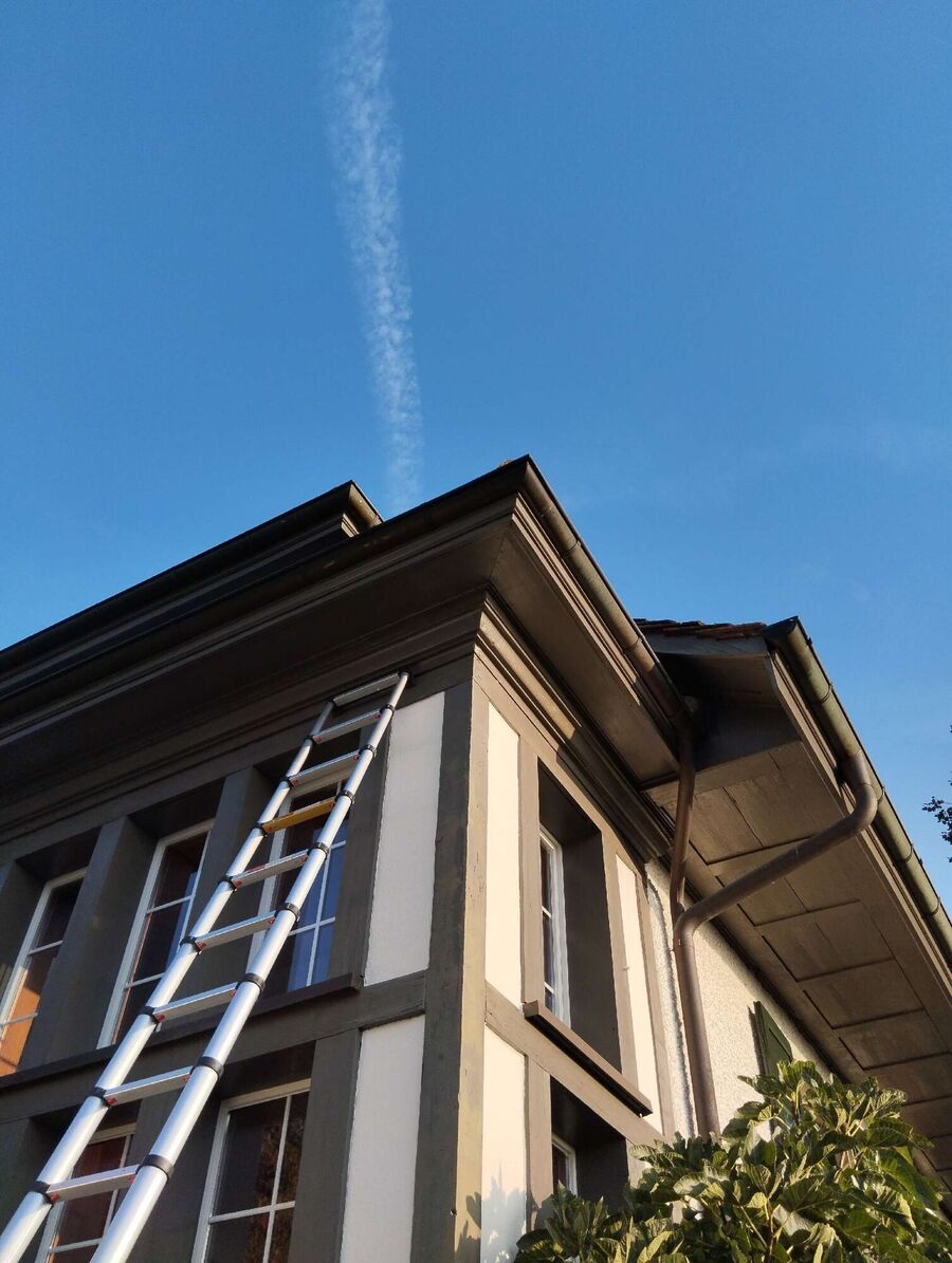 nid d abeille que faire