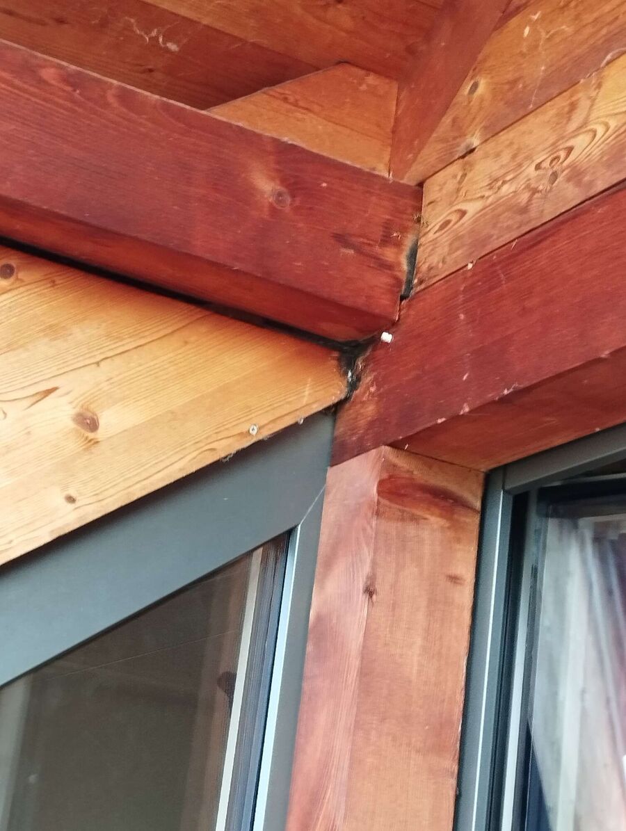 ruche abeille maison que faire