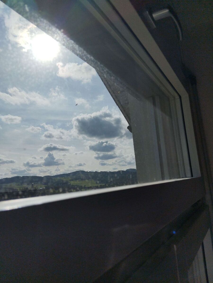 essaim d abeille enlevement