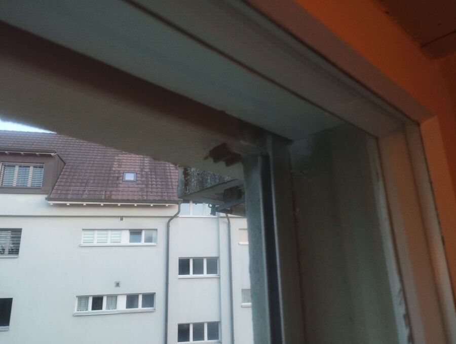 essaim d abeille enlevement