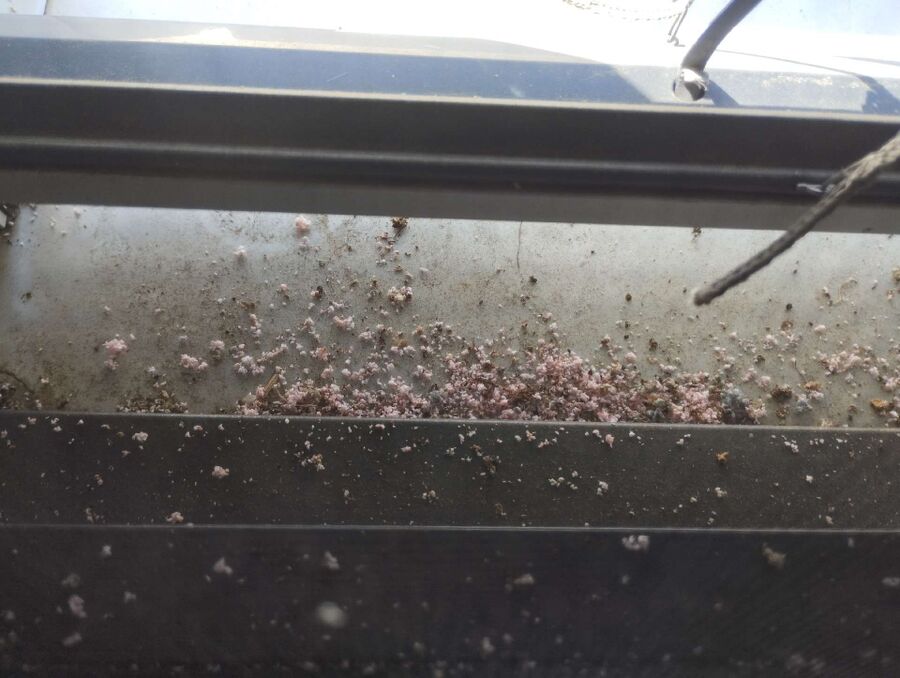 nid d abeille que faire