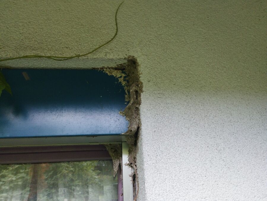 enlever un nid d abeille