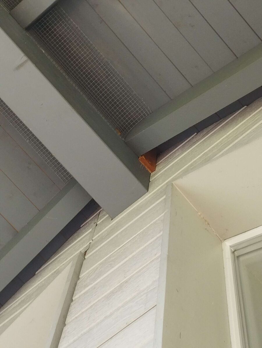 ruche abeille maison que faire