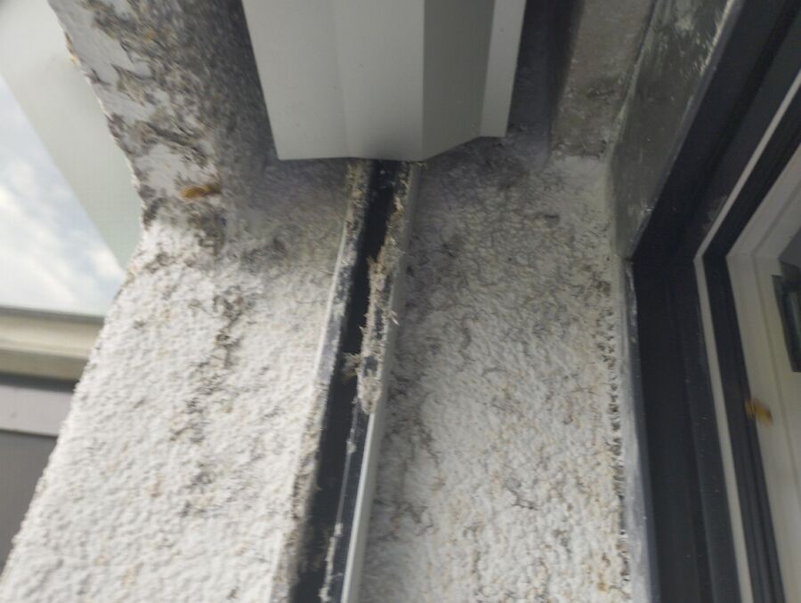 enlever un nid d abeille