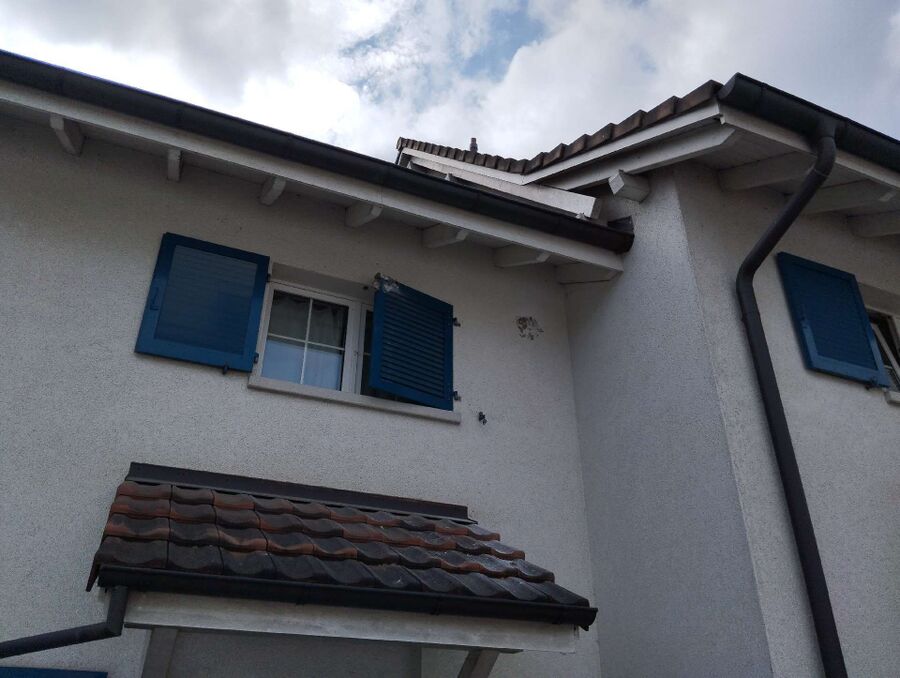 ruche abeille maison que faire