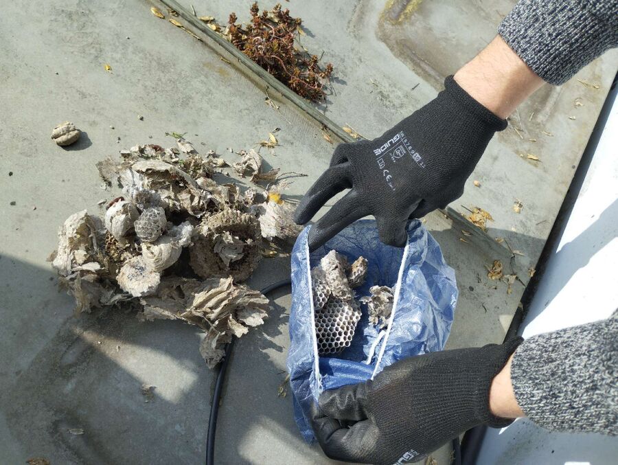 nid d abeille que faire