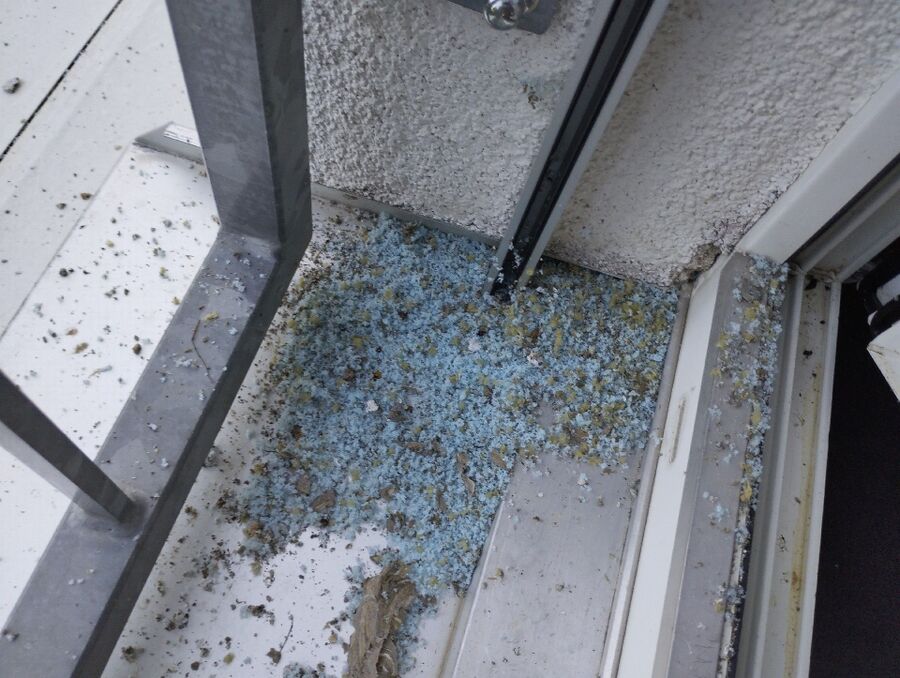 essaim d abeille enlevement