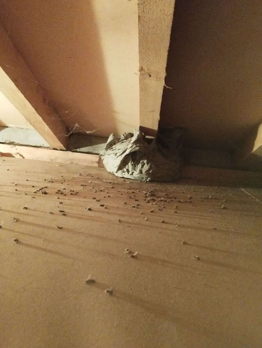 nid d abeille que faire