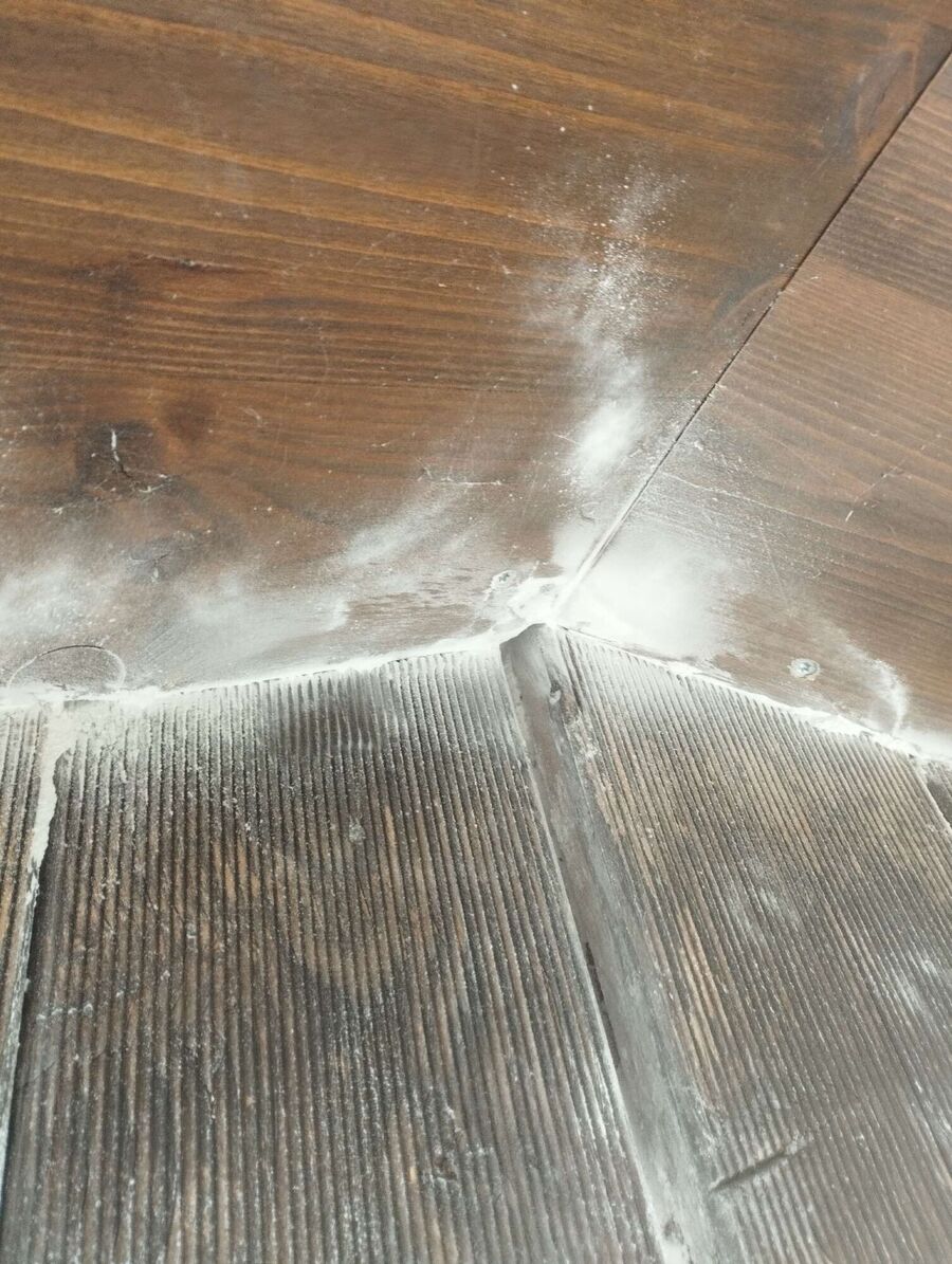 ruche abeille maison que faire