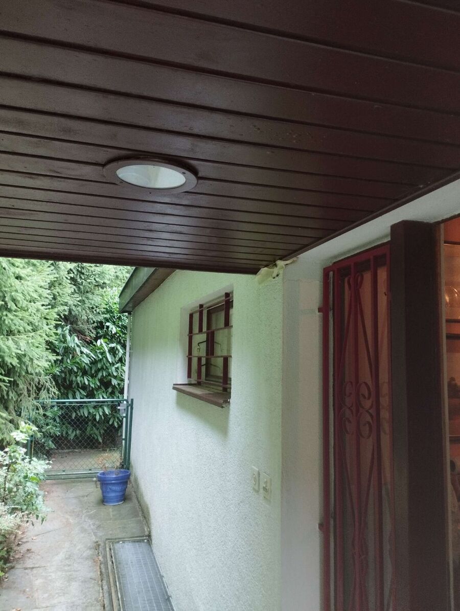 essaim d abeille enlevement