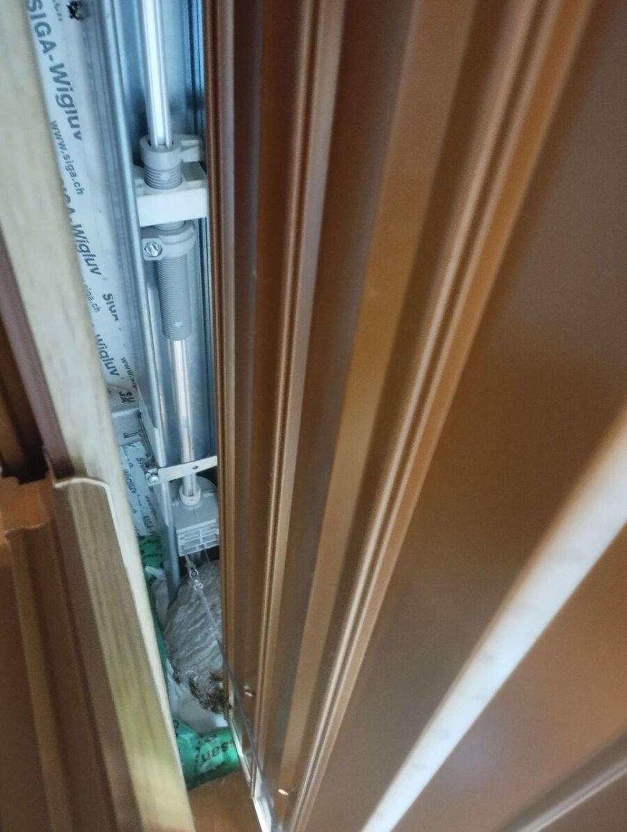 ruche abeille maison que faire