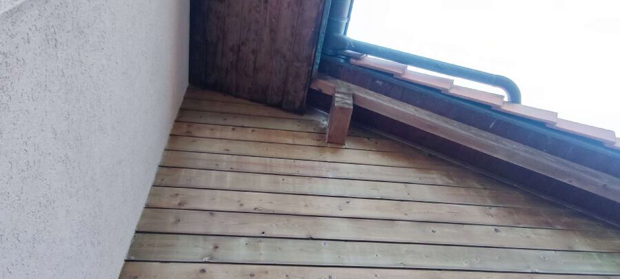 essaim d abeille enlevement