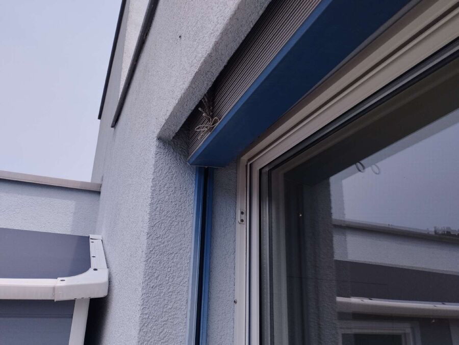 ruche abeille maison que faire