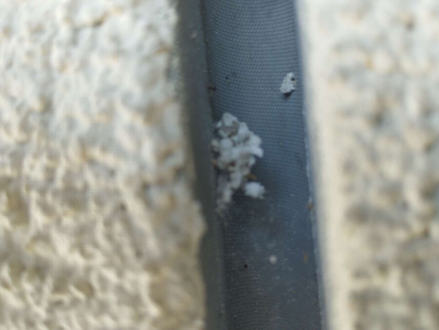 enlever un nid d abeille