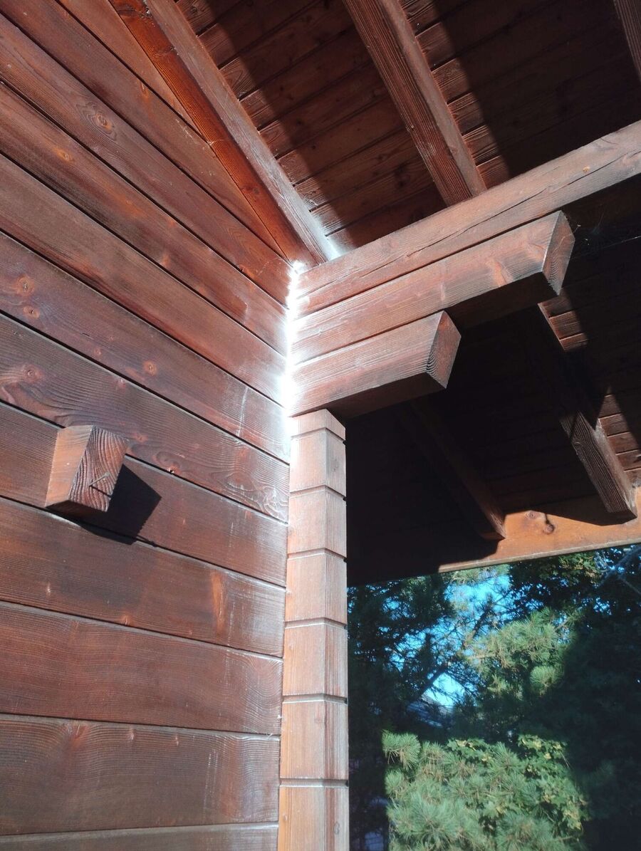 ruche abeille maison que faire