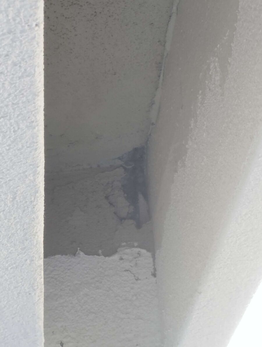 essaim d abeille enlevement