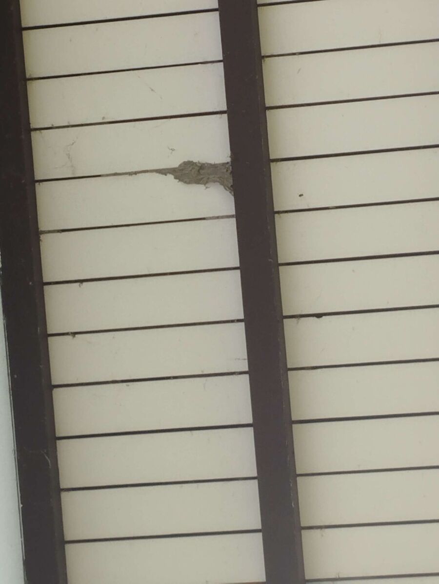 enlever un nid d abeille