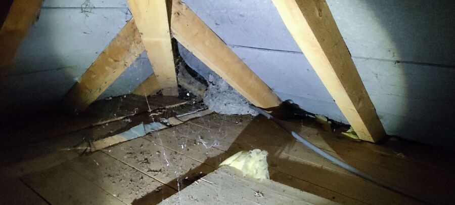 ruche abeille maison que faire