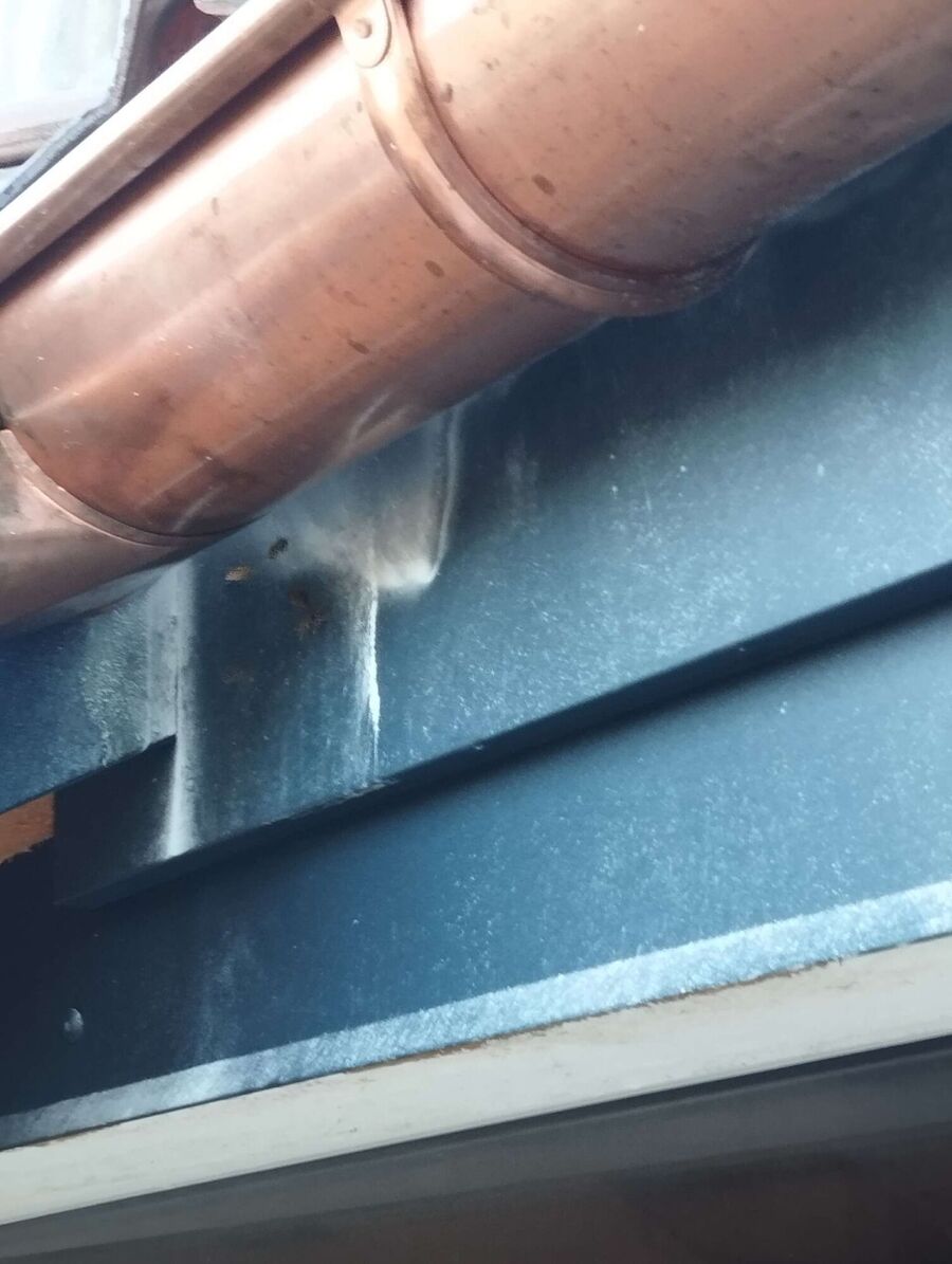 nid d abeille que faire