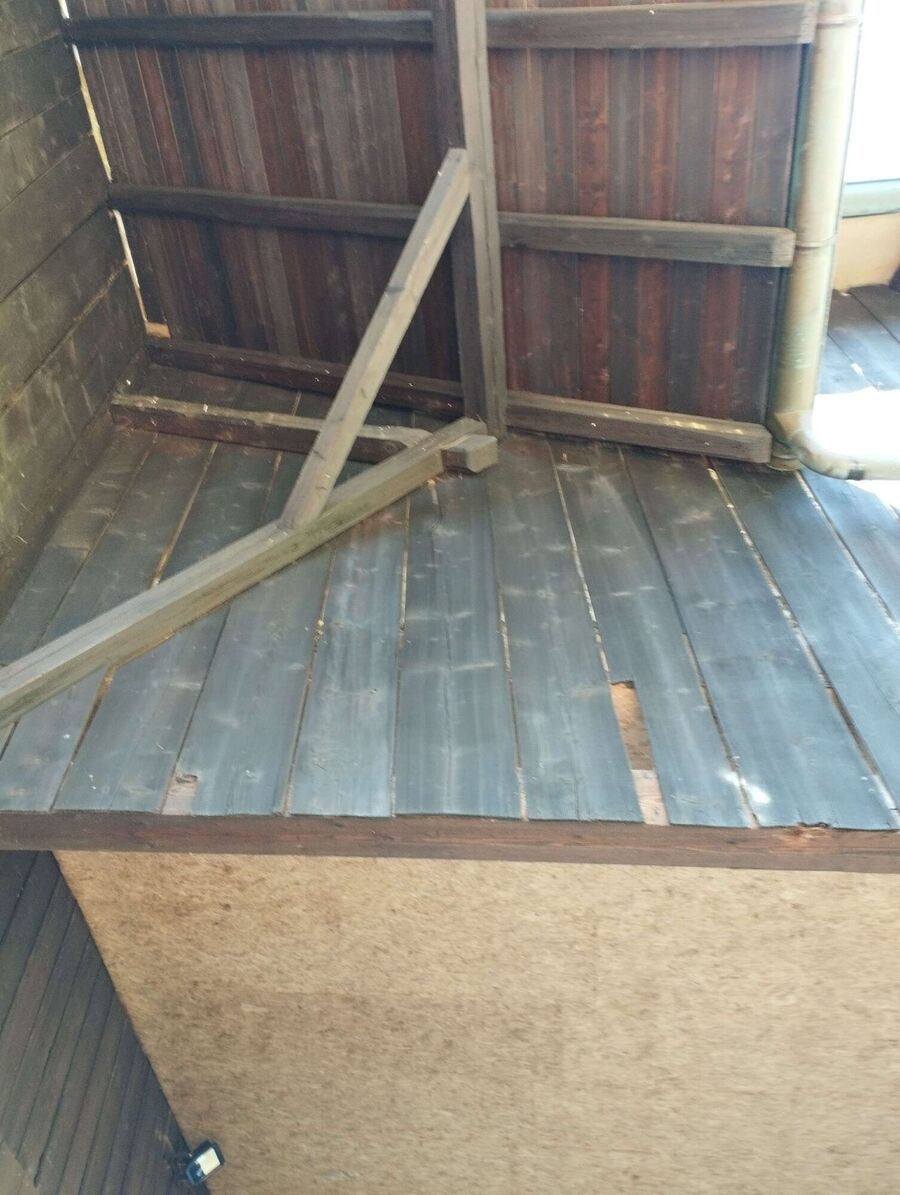 nid d abeille que faire