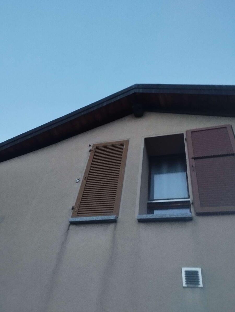 nid d abeille que faire