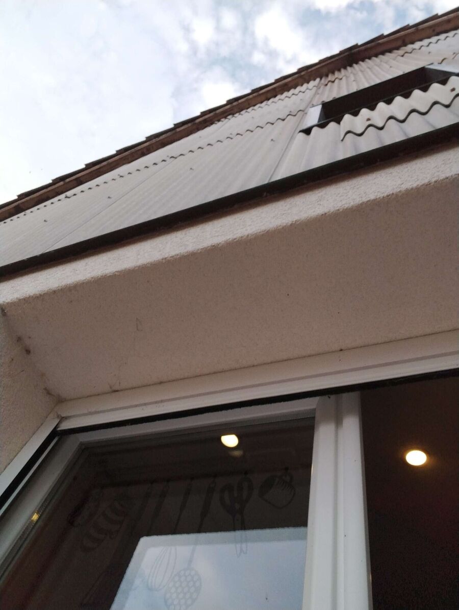 essaim d abeille enlevement