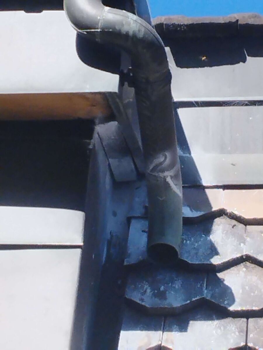 nid d abeille que faire