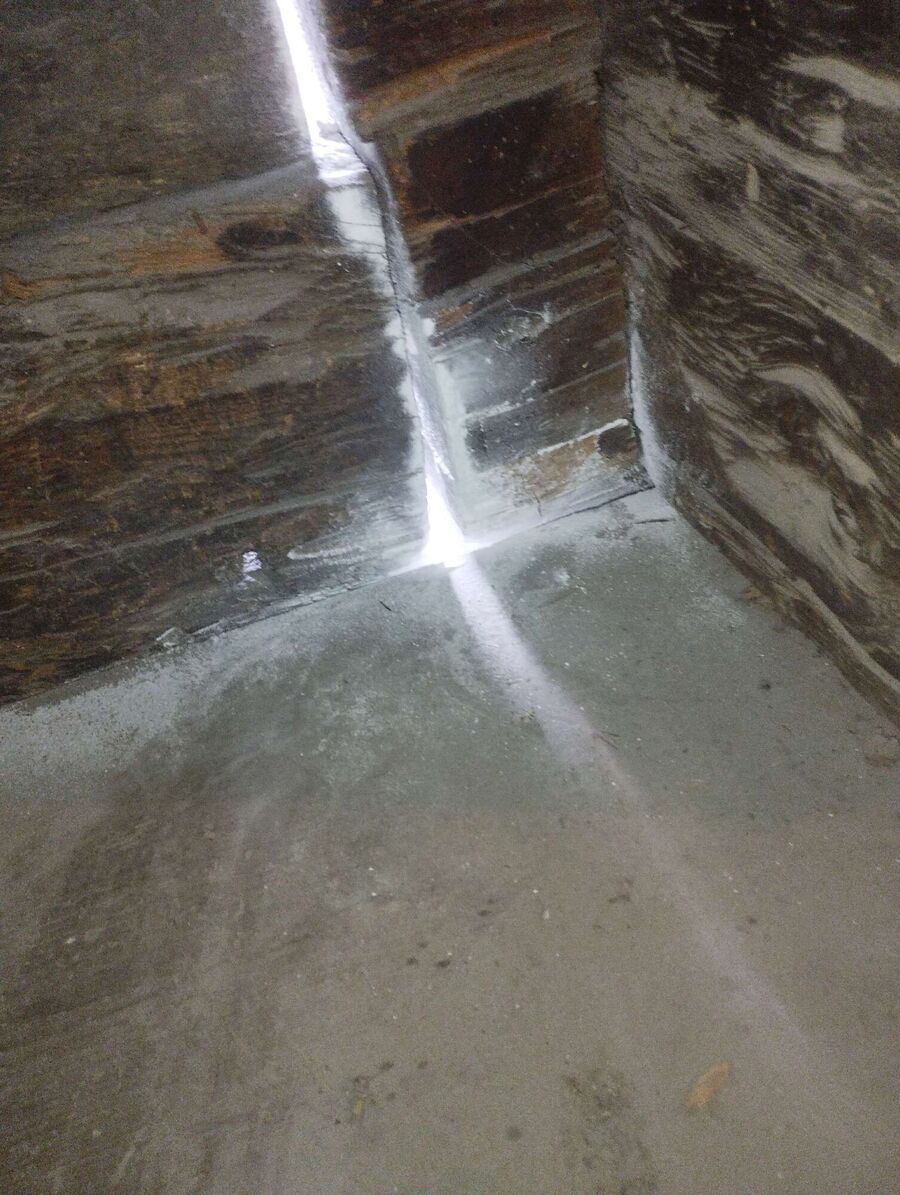 ruche abeille maison que faire