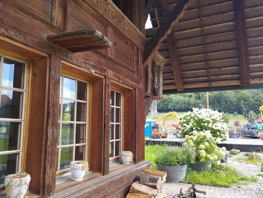 ruche abeille maison que faire