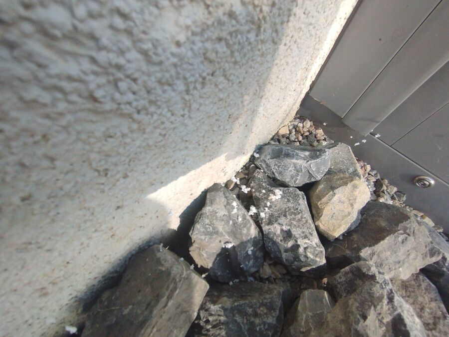 ruche abeille maison que faire