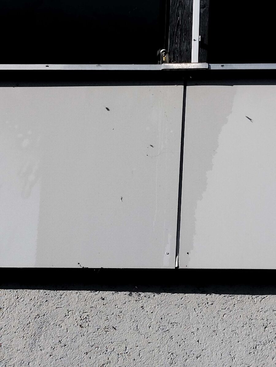 ruche abeille maison que faire